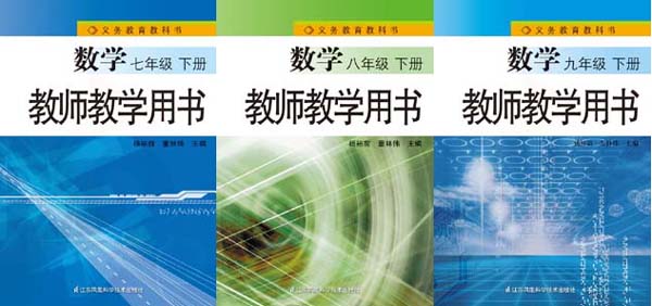 2-2-2.8. 苏教版初中数学（六三制）【7-9年级】深层解读教师用书.jpg